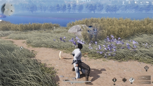 燕云十六声清河曲径寻幽全收集 清河蓝蝴蝶位置汇总