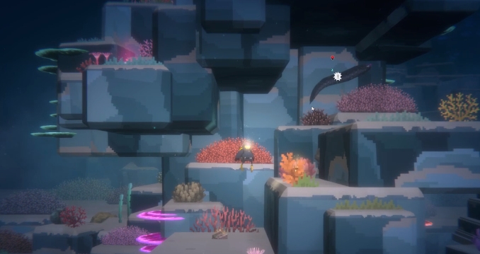 潜水员戴夫海鳝在哪抓