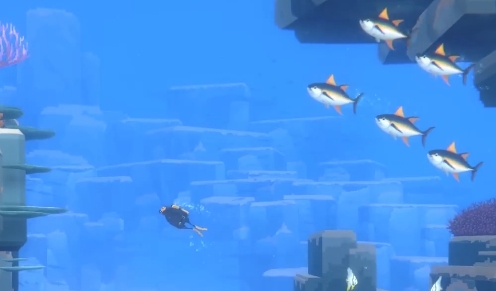 潜水员戴夫金枪鱼在哪