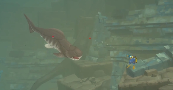 潜水员戴夫邓氏鱼在哪里