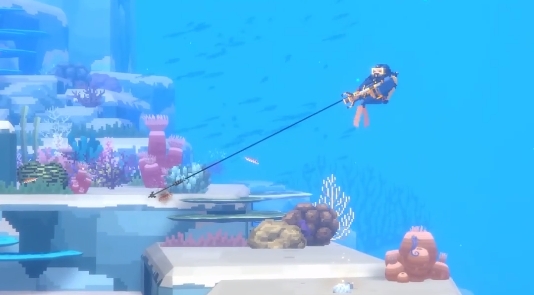 潜水员戴夫鮨鱼在哪