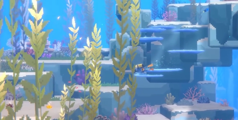 潜水员戴夫地中海天竺鲷在哪