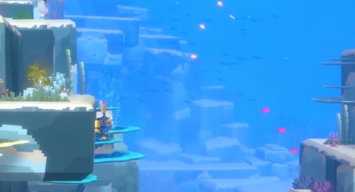 潜水员戴夫金拟花鮨在哪抓