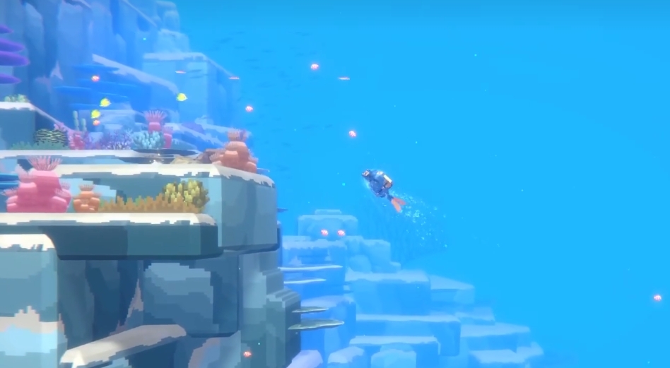 潜水员戴夫黄高鳍刺尾鱼在哪抓