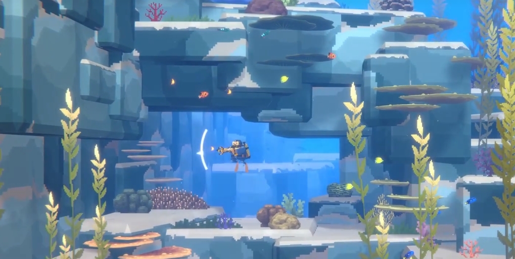 潜水员戴夫圆翅燕鱼在哪抓