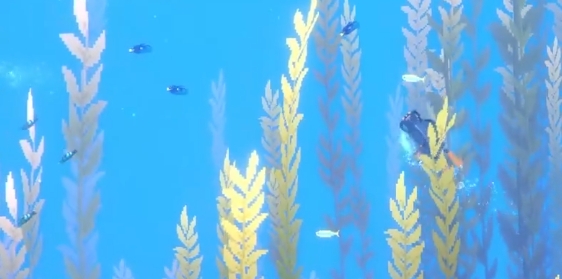 潜水员戴夫蓝倒吊在哪抓