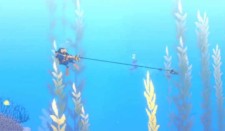 潜水员戴夫杂斑盔鱼在哪抓