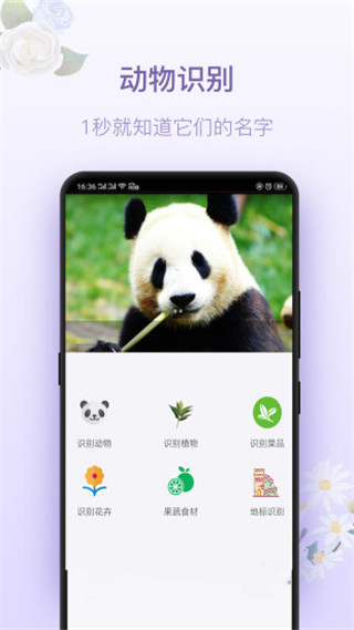 拍照识花神器截图3