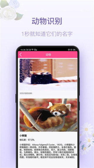 拍照识花神器截图4