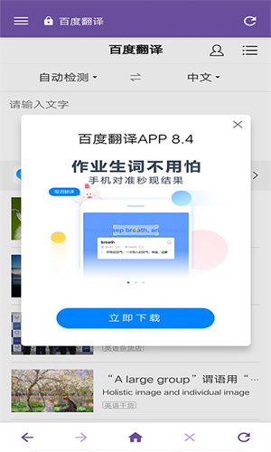 双核浏览器安卓版截图3