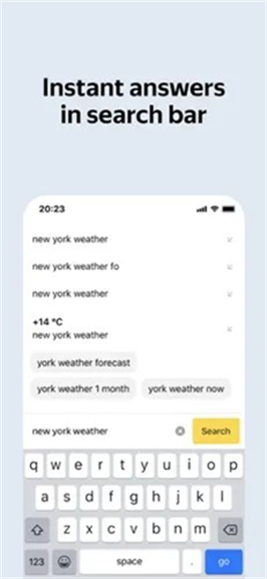 俄罗斯搜索引擎截图1