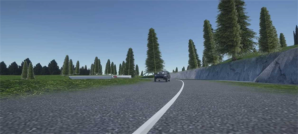 辛迪车祸模拟器旧版