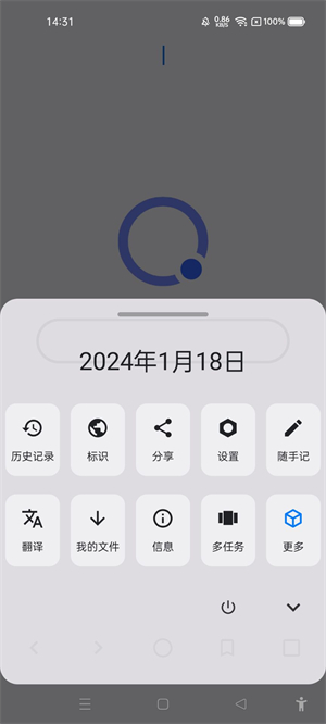 ROAM浏览器截图2