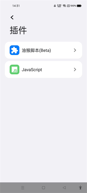 ROAM浏览器截图3
