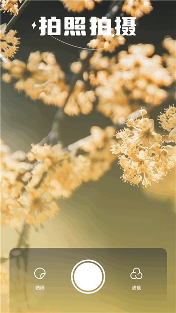 繁花漫画app下载安装2025手机版截图3