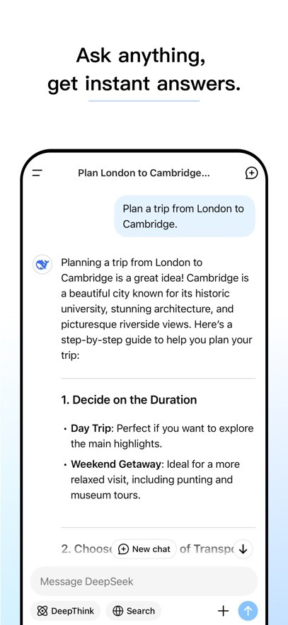 DeepSeek海外版截图3
