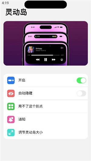 浣熊iOS17启动器带灵动岛