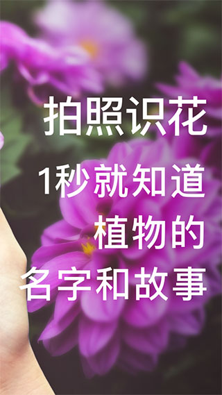 形色植物识别截图2