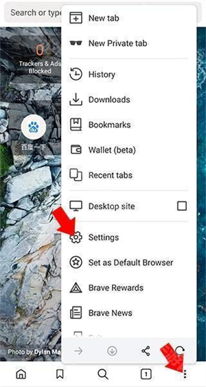 Brave浏览器手机版