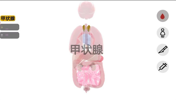 人体细胞模拟器截图1