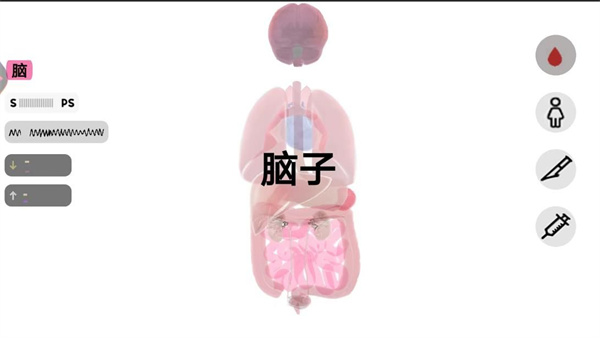 人体细胞模拟器截图3