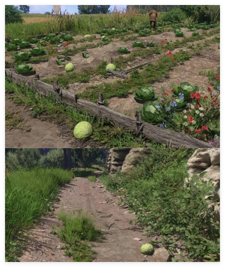 天国拯救2卷心菜贼怎么找