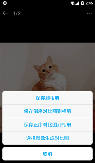 猫咪成长记截图2
