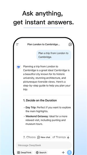 DeepSeek国际版截图2