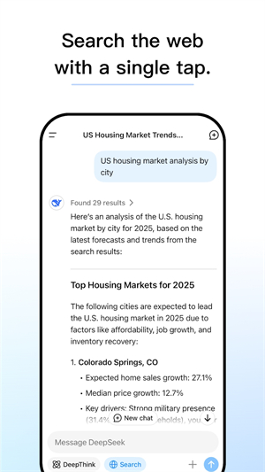 DeepSeek国际版截图3