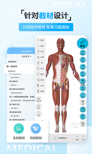 维萨里3D解剖截图4