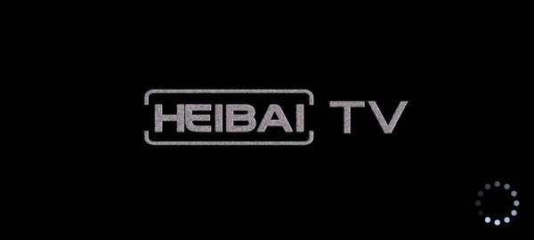 黑白电视tv下载安装手机版截图2