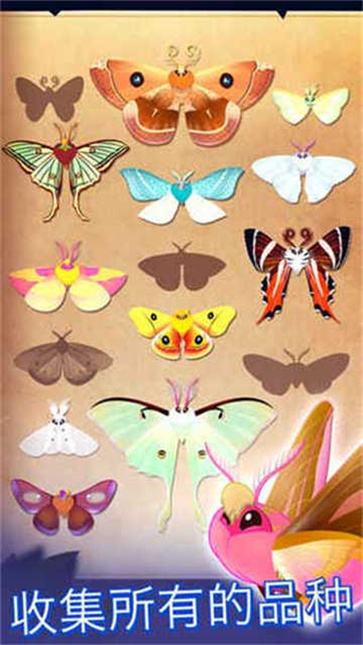 彩翼之星夜截图2