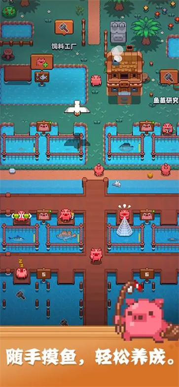开拓猪之岛截图1