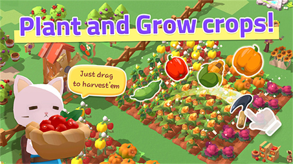 猫岛探险记截图3