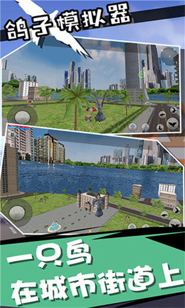 鸽子模拟器截图1