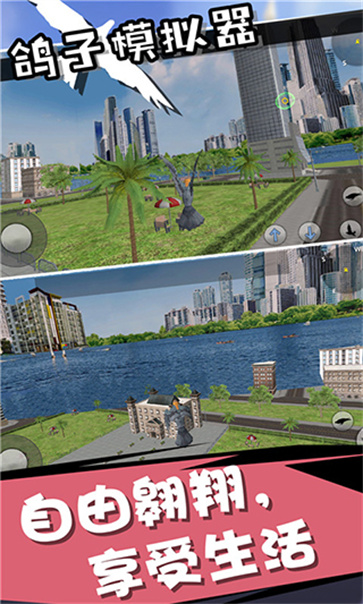 鸽子模拟器截图2