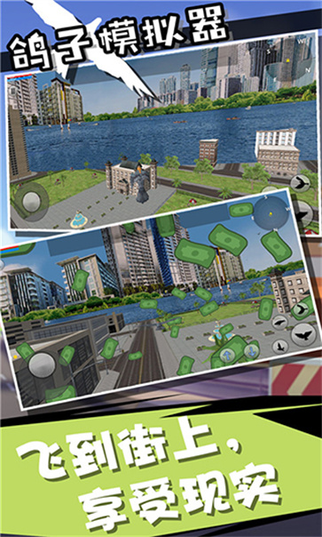 鸽子模拟器截图5