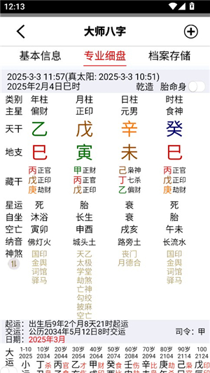 大师八字排盘专业版