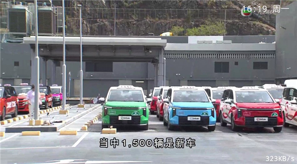 pn播放器2025港澳台