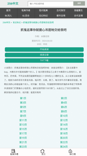 256中文小说阅读平台