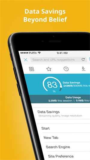 puffin浏览器国际版截图2