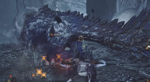 怪物猎人荒野护凶爪龙弱什么