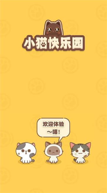 小猫快乐园