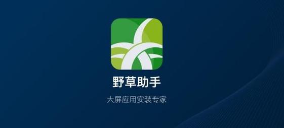 野草助手TV版