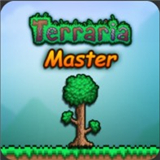 泰拉瑞亚mod启动器