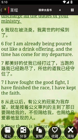 读圣经和合本鸽子头像