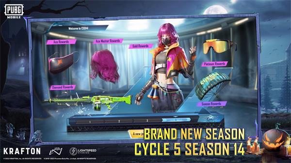 pubg体验服国际服截图2