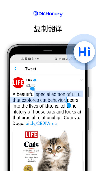 hi translate翻译器截图4