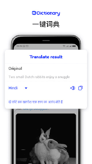 hi translate翻译器截图5