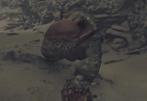 怪物猎人荒野缠蛙的上等皮怎么获得